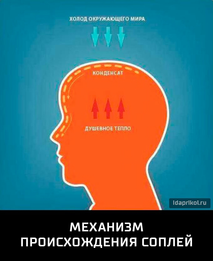 Ні мвхднизм ПРОИСХОЖДЕНИЯ ЕППЛЕЙ