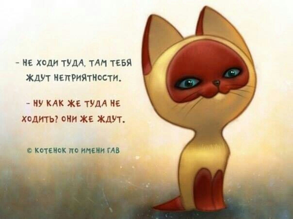не ходи туш тт тсвя ЖДУТ ишритиости НУ КАК ЖЕ ТУДА ИЕ ХОДИТЬ Щ ЖЕ ЖДУТ КИТ ГА