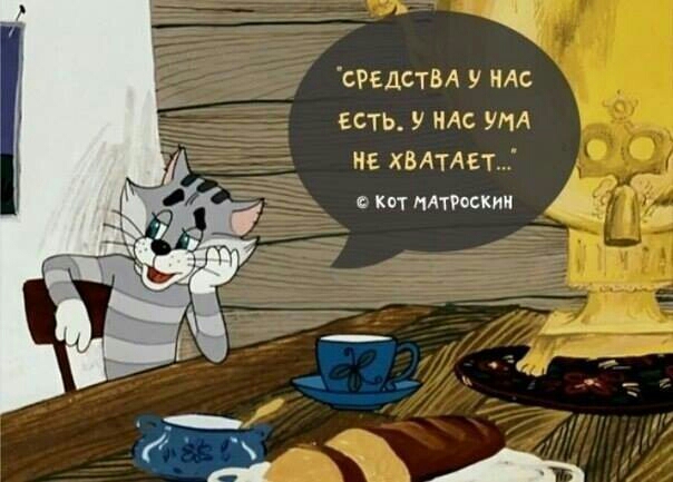 сРЕДСТВА у ндс есть У НАС ум не ХВАТАЕТТ с квт ПАТРОСКИИ
