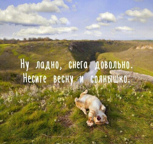 Ну ладно снега овольно Неците__ сн