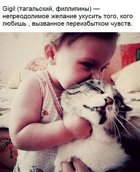 6і9і тагальский филлипины непреодолимое желание укусить того кого любишь вызванное переизбытком чувств