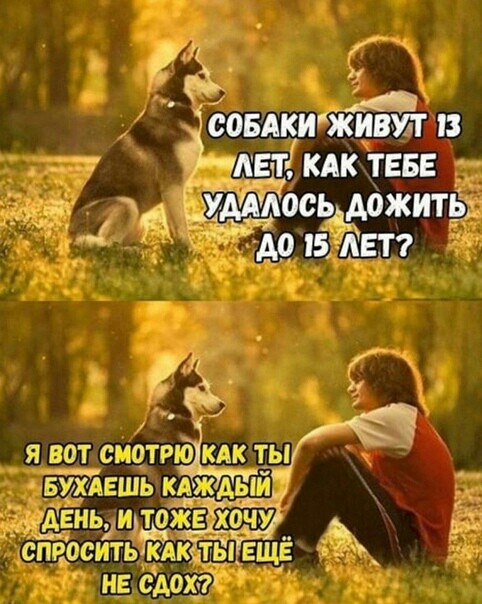 Я ВПТ СГШТРЮіЬДЬ БАЕШЬ КА ЬМ Н_Е СДО