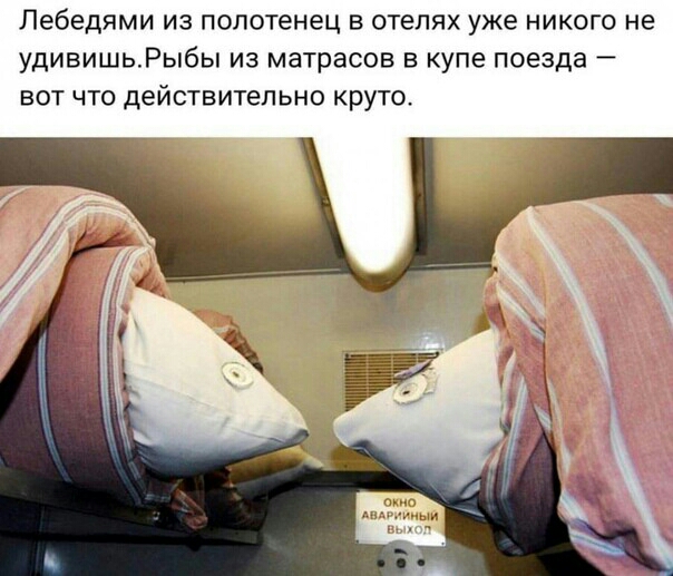 Лебедями ИЗ полотенец В отелях уже НИКОГО не УДИВИШЬРЫОЫ ИЗ матрасов В купе поезда _ ВОТ ЧТО действительно круто