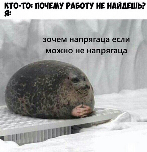 Жирная баба на диване