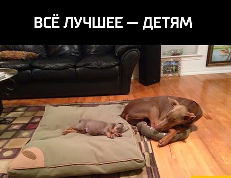 ВСЁ ЛУЧШЕЕ ДЕТЯМ