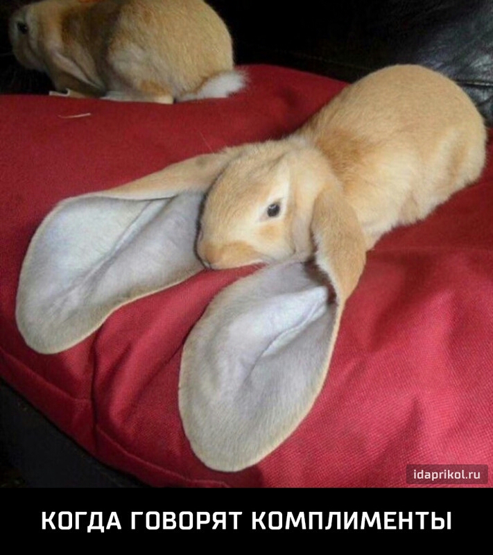 КОГДА ГОВОРЯТ КОМПЛИМЕНТЫ