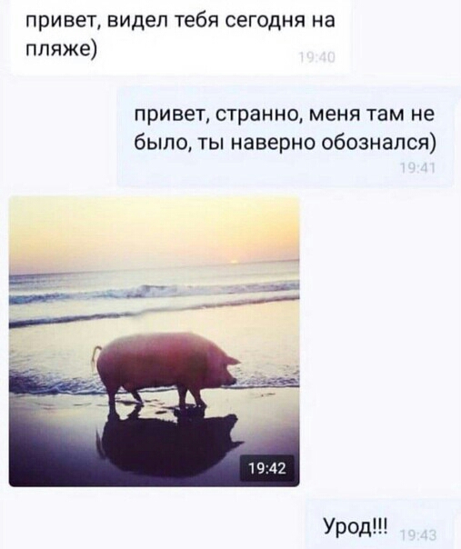 привет видеп тебя сегодня на пляже привет странно меня там не было ты наверно обознапся Урод