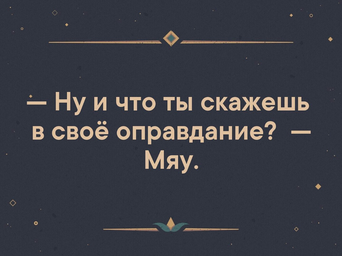Ну и что ты скажешь в своё оправдание Мяу