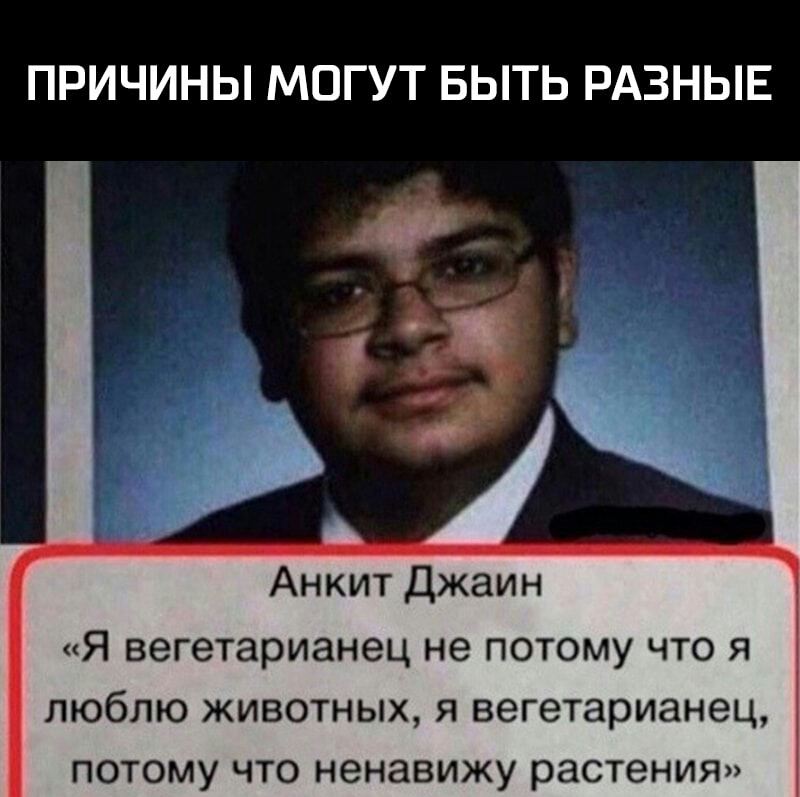 ПРИЧИНЫ МОГУТ БЫТЬ РАЗНЫЕ Анкит Джаин Я вегетарианец не потому что я люблю животных я вегетарианец потому что ненавижу растения
