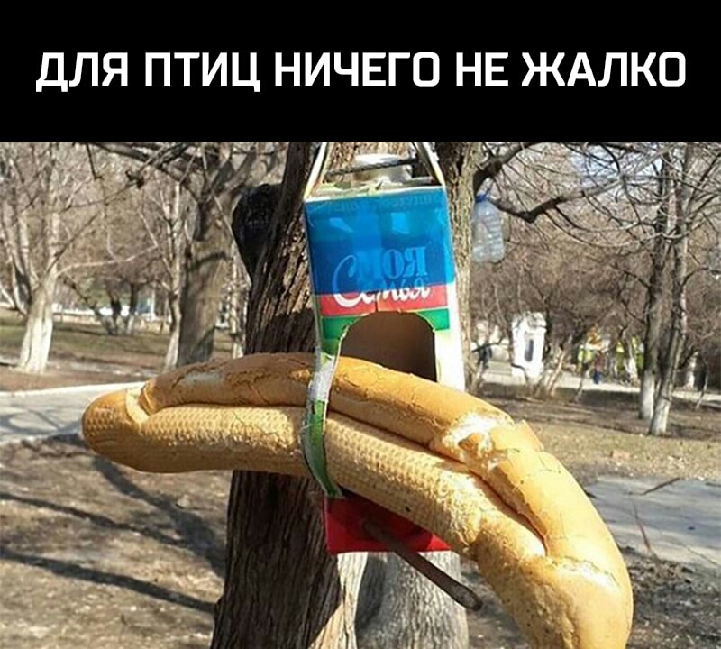 ДЛЯ ПТИЦ НИЧЕГО НЕ ЖАЛКО