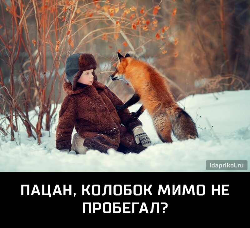ПАЦАН КОЛОБОК МИМО НЕ ПРОБЕГАЛ
