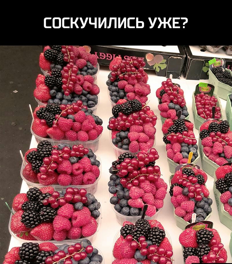 СОСКУЧИЛИСЬ УЖЕ