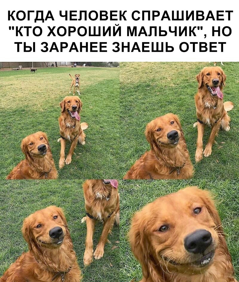 КОГДА ЧЕЛОВЕК СПРАШИВАЕТ КТО ХОРОШИЙ МАЛЬЧИК НО ТЫ ЗАРАНЕЕ ЗНАЕШЬ ОТВЕТ _ 1 А_4_а _ 2 _ _ т _ Ч чр А м