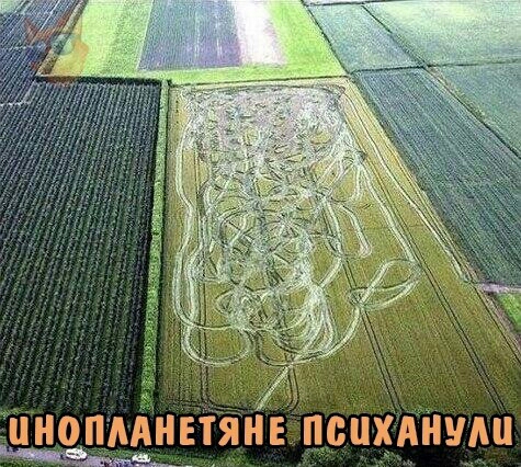Тінінопмнетяііе псцхАнудц