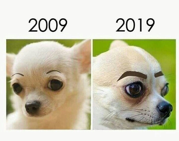 2009 201 9