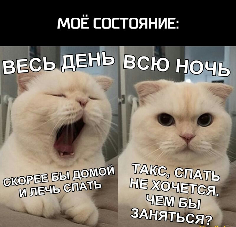 МОЁ состоянив