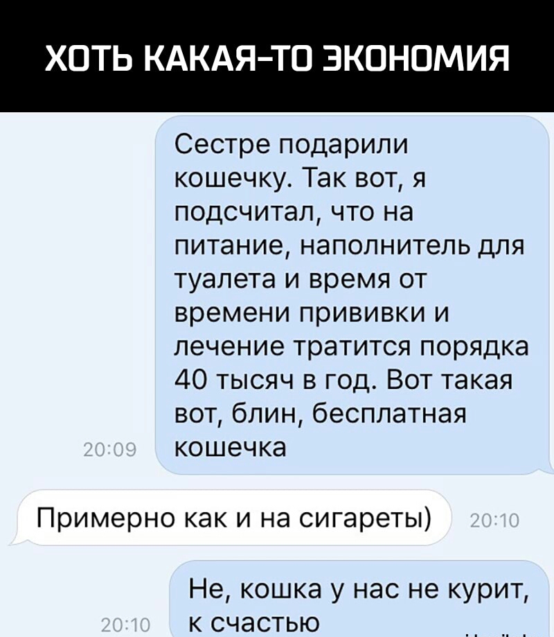 ХОТЬ КАКАЯ ТО ЭКОНОМИЯ Сестре подарили кошечку Так вот я подсчитал что на питание наполнитель для туалета и время от времени прививки и лечение тратится порядка 40 тысяч в год Вот такая вот блин бесплатная кошечка Примерно как и на сигареты Не кошка у нас не курит к счастью