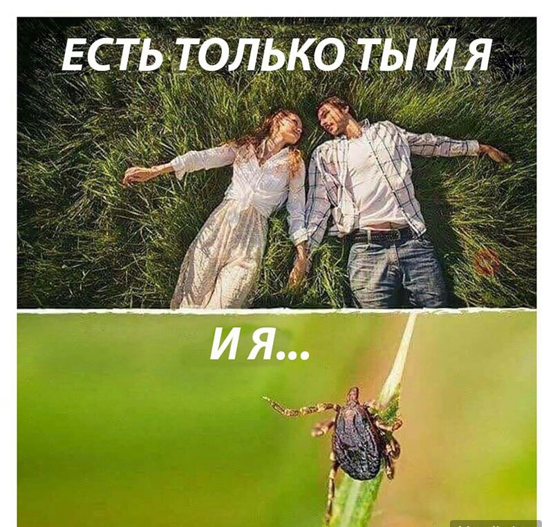 г