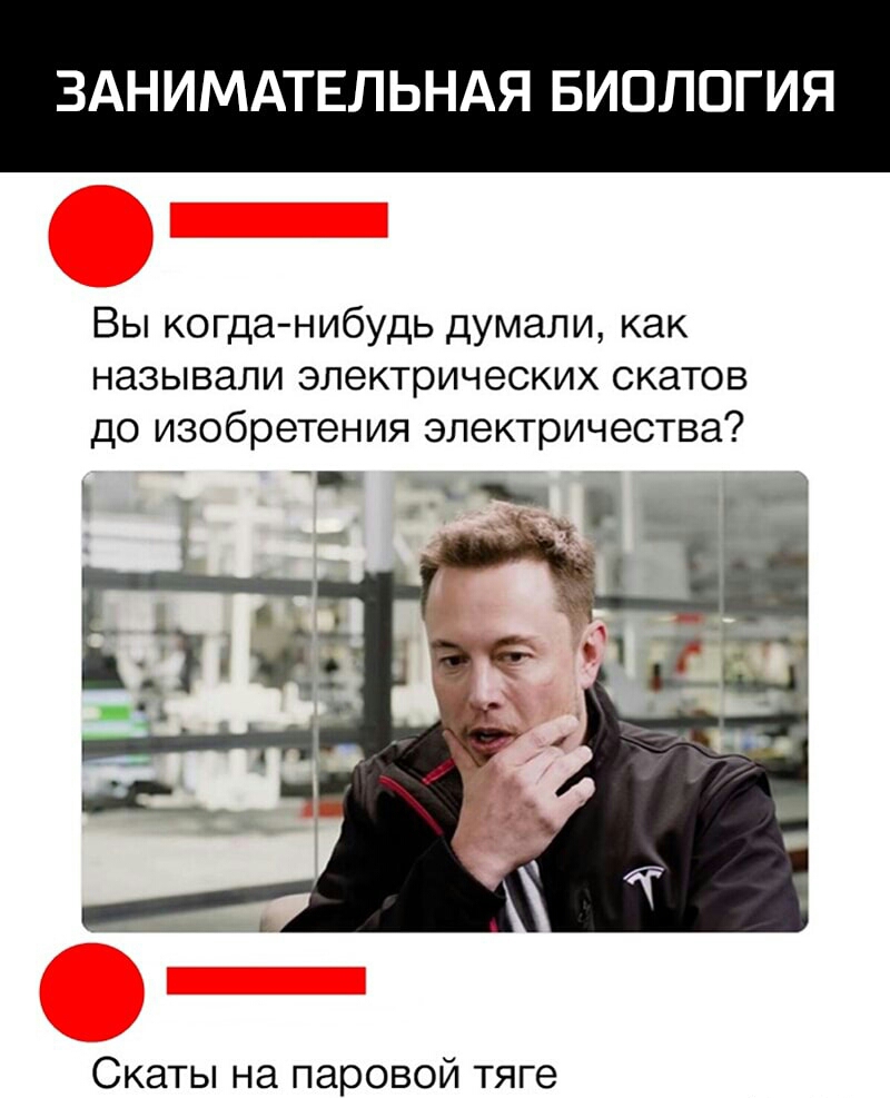 А вы когда нибудь задумывались. Как называли электрических скатов до изобретения электричества.