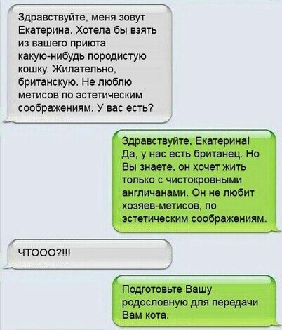 Здравствуйте меня зовут Екатерина Хотела бы ваять из вашего приюта какую нибудь породистую кошку Жипатщтьнп британскую Не люблю мвтисвв по эстетичеытим соображениям у вас есть Здравствуйте Екатерина д у на есть британец Но Вы знаете о комет жить только чистокриными англичанами Он не пюбит хопевммисов по эстетически м соображениям чтоптш Подштввьте вашу родословную для наградами Вам каш
