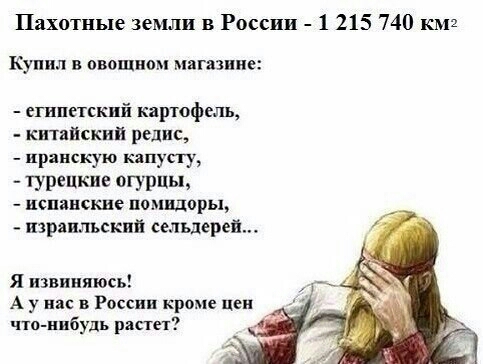 Пахотные земли в России 1 215 740 км2 Купил в овощном мвгшиие египетский картофель кнтяпскии редис _ иранскую капусгу турецкие огурцы _ испанские П0МЩОРЬЬ изряилъский сельдерей я извиняюсь А у вас в России кроме иен что нибудь растет