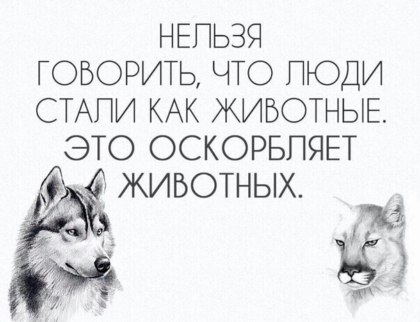 НЕПЬЗЯ ГОВОРИТЬ ЧТО ПЮДИ СТАПИ КАК ЖИВОТНЫЕ ЭТО ОСКОРБПЯЕТ 351 3
