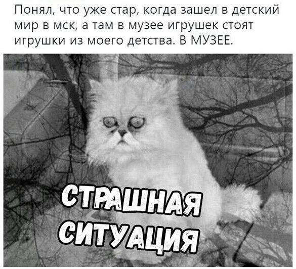Понял что уже стар когда зашел в детский мир в мск а там в музее игрушек стоят игрушки из моего детства В МУЗЕЕ