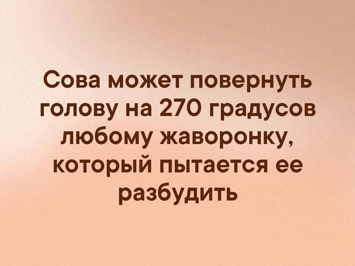 Сова может повернуть голову на 270 градусов любому жаворонку который пытается ее разбудить