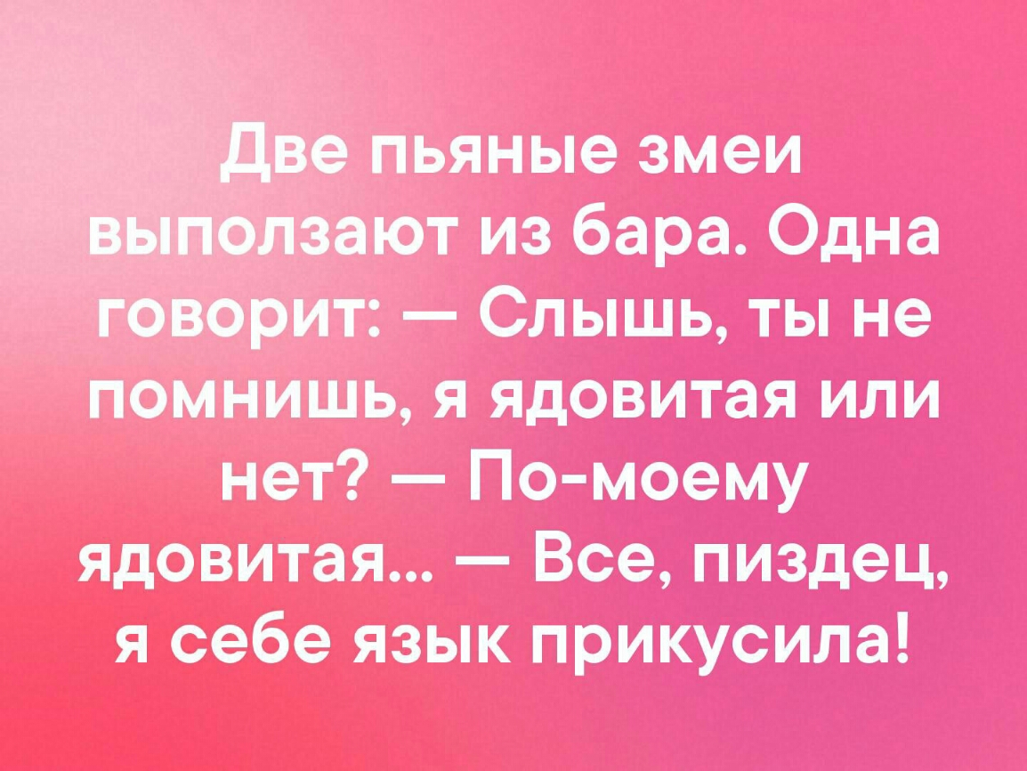 пьяные змеи ают из бара Одна ит Слышь ты не помнишь я ядовитая или нет По моему ядовитая Все пиздец я себе язык прикусила