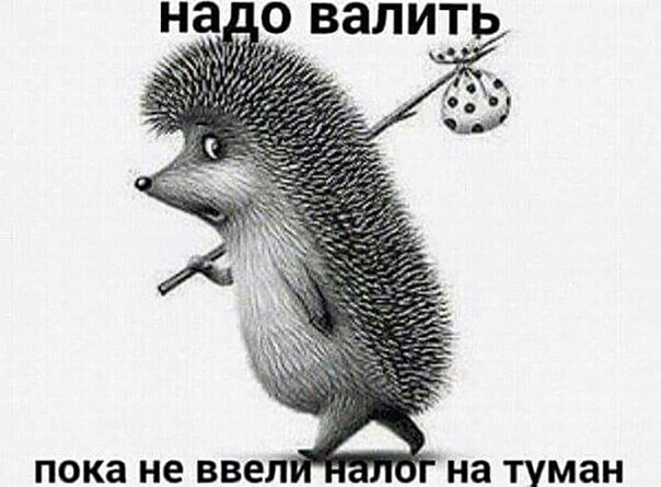 пока не ВВЕЛ на туман