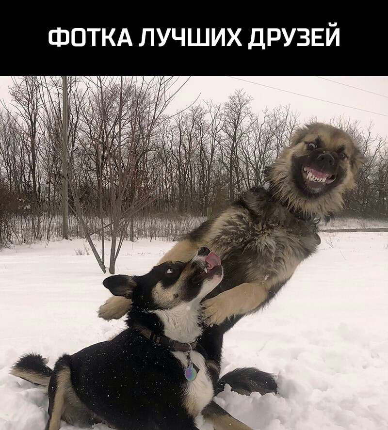 ФОТКА ЛУЧШИХ ДРУЗЕЙ