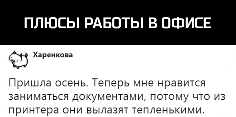 ПЛЮСЫ РАБОТЫ В ОФИСЕ Харенкова Пришла осень Теперь мне нравится заниматься документами потому что из принтера они вылазят тепленькими