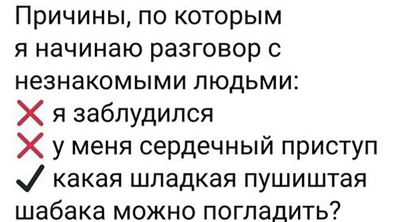 Причины по которым я начинаю разговор с незнакомыми людьми Х я заблудился Х у меня сердечный приступ какая шладкая пушиштая шабака можно погладить