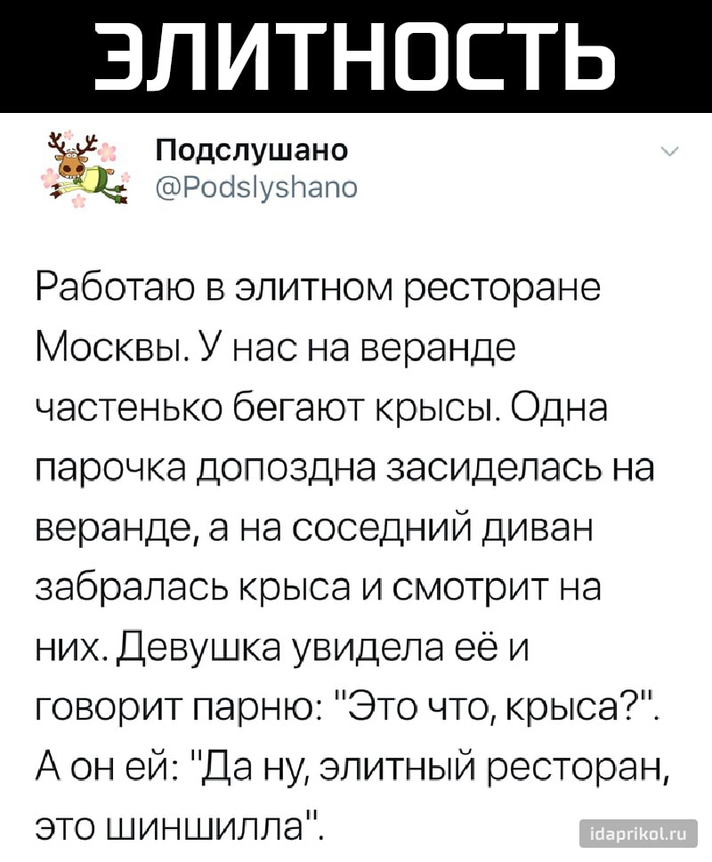 ЭЛИТНОСТЬ Подслушано зе РосізіузПапо Работаю в элитном ресторане Москвы У нас на веранде частенько бегают крысы Одна парочка допоздна засиделась на веранде а на соседний диван забралась крыса и смотрит на них Девушка увидела её и говорит парню Это что крыса А он ей Да ну элитный ресторан это шиншилла