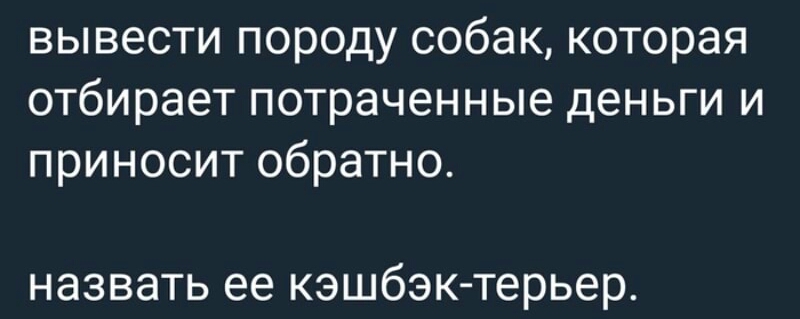 вывести породу собак которая отбирает потраченные деньги и приносит обратно назвать ее кэшбэк терьер