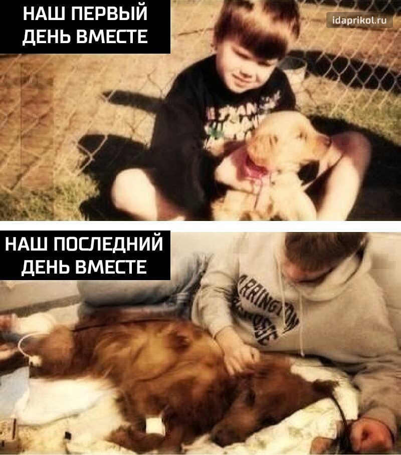 НАШ пврвый ДЕНЬ вмвств таргікшхи ндш поспвдний ДЕНЬ вмвств