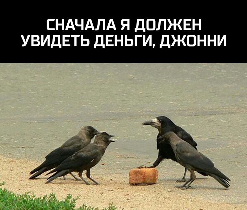 СНАЧАЛА Я ДОЛЖЕН УВИДЕТЬ ДЕНЬГИ ДЖОННИ