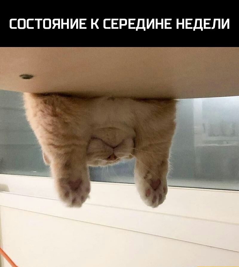 СОСТОЯНИЕ К СЕРЕДИНЕ НЕДЕЛИ