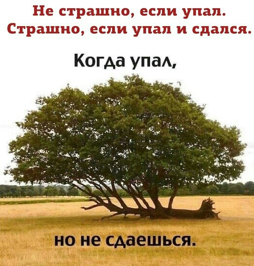 Не страшно если упал Страшно если упал и сдался Когда упа 3ъ _