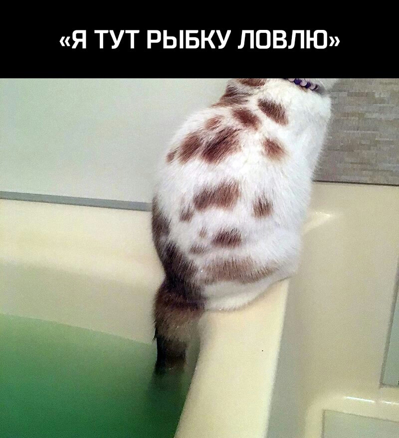 Я ТУТ РЫБКУ ЛПВЛЮ