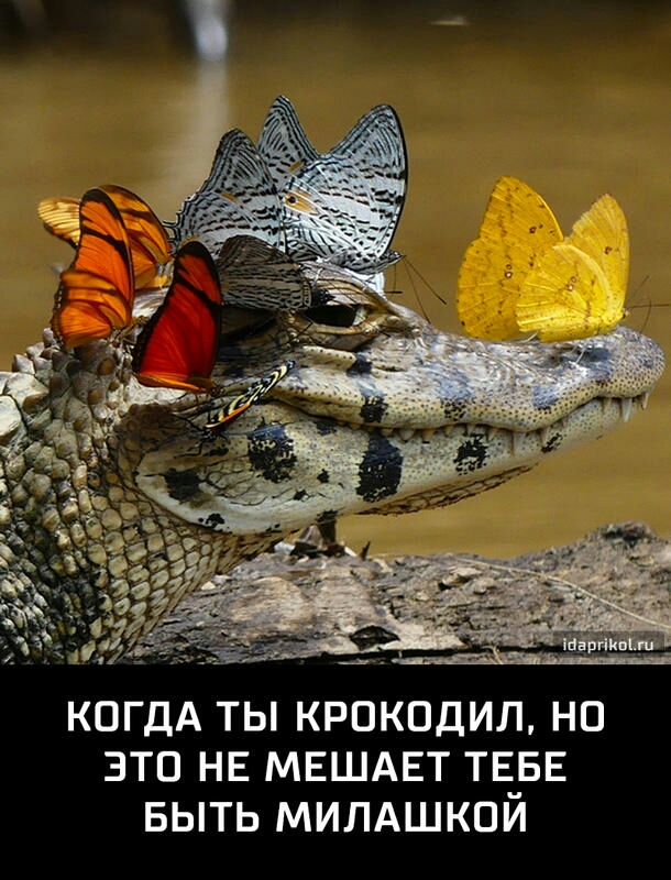 ЭТО НЕ МЕШАЕТ ТЕ_БЕ БЫТЬ МИЛАШКПИ