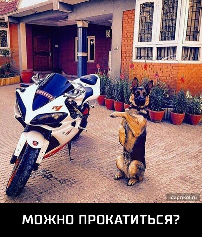 и я С Ь Т А к 0 П п 0 н ж 0 М