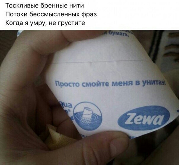 Тоскпивые бренные нити Потоки бессмысленных Фраз Когда я умру не грустите