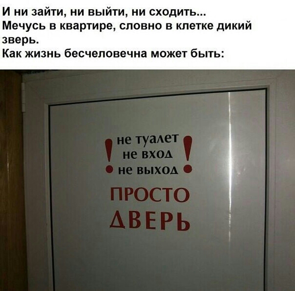 И ни зайти ни выйти ни сходить Мечусь в квартире словно в клетке дикий зверь Как жизнь бесчеловечна может быть