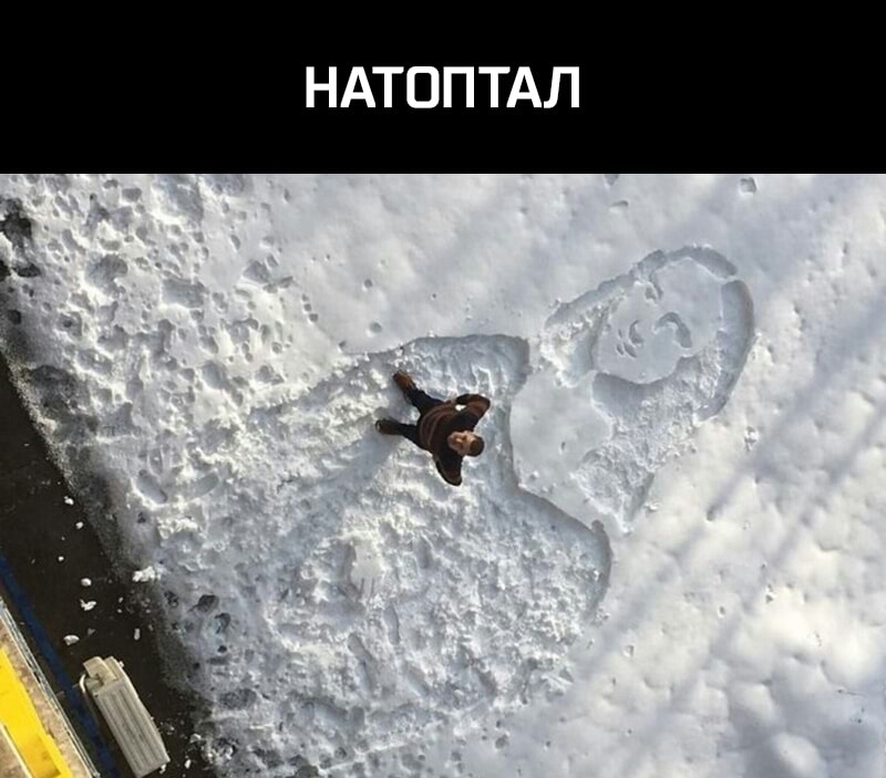 НАТОПТАЛ Ё