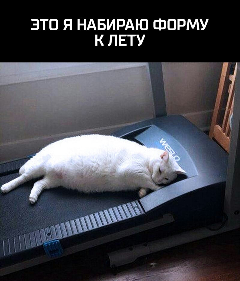 ЭТО Я НАБИРАЮ ФОРМУ К ЛЕТУ