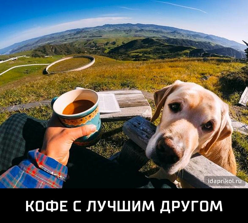 КОФЕ С ЛУЧШИМ ДРУГОМ