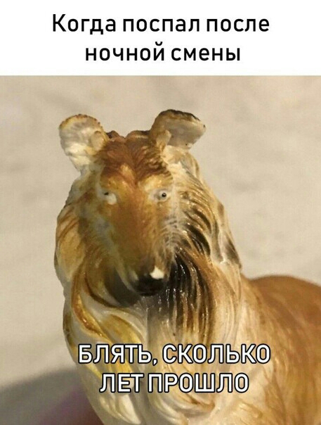Когда ПОСПЭП ПОСЛЕ НОЧНОИ СМЭНЫ