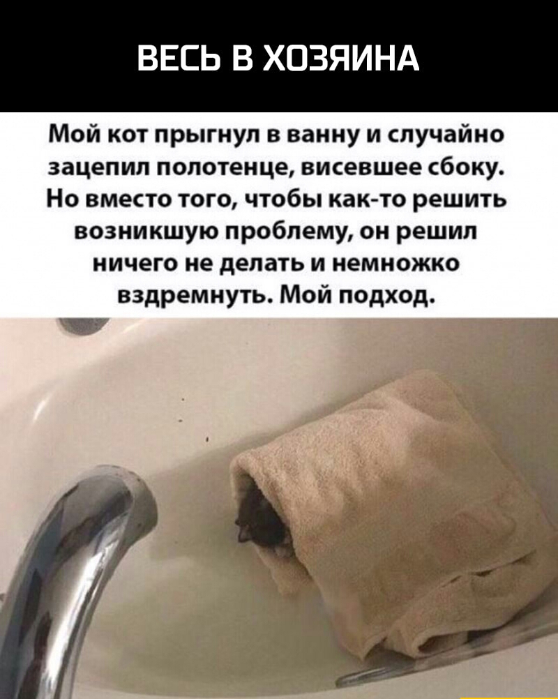 ВЕСЬ В ХОЗЯИНА Мой кот прыгнул в ванну и случайно зацепил полотенце висевшее сбоку Но вместо того чтобы как то решить возникшую проблему он решил ничего не делать и немножко вздремнуть Мой подход