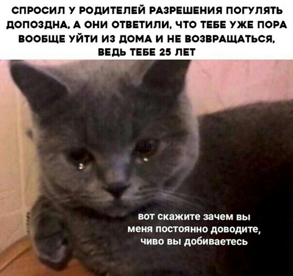 СПРОСИП У РОДИТЕЛЕЙ РАЗРЕШЕНИЯ ПОГУПЯТЬ ПОПОЗДНА А ОНИ ОТВЕТИПИ ЧТО ТЕБЕ УЖЕ ПОРА ВООБЩЕ УЙТИ ИЗ дОМА И НЕ ВОЗВРАЩАТЬСЯ ВЕДЬ ТЕБЕ 25 ЛЕТ вот скажите зачем вы меня постоянно доводите чиво ны добиваетесь